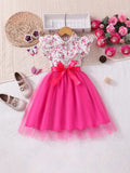 Kid Girls Long Sleeve Lapel Floral Mesh Dress
