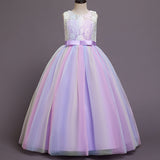 Kid  Girls Sleeveless Mesh Show Host Princess Dress