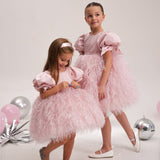 6M-12T Kid Baby Girl Fairy Catwalk Tutu Piano Performance Dresses