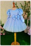 Kid Baby Girls Blue Fluffy Yarn Long Sleeve Princess Dress