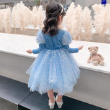Kid Girl Mesh Princess Autumn Elsa Pompous  Frozen Dresses