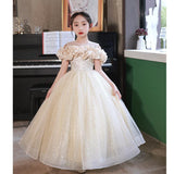 Kid Girl Host Evening Princess Piano Performance Dresses