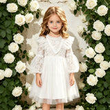 1-6T Kid Baby Girls Lace Princess Performance Flower Dresses