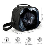 3 Pcs Set Kid Boy Cat Backpack School Bags With Lunch Pencil Bags