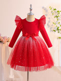 Kid Girls Long-sleeve Gradient Multicolor Tulle Dress
