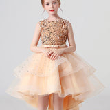 Kid Girls Glitter Sequin Princess Party Birthday Performance Dresses