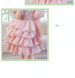 Kid Baby Girl Princess Pink Pooper Gauze Evening  Performance Cake Dresses