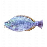 Simulation Fish-Shaped Pencil Case Waterproof Pencil Coin Purse