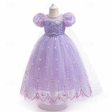 Kids Girls Party Snowflake Short Sleeve Formal Performance  Sequins Mesh Princess Maxi Party Dress