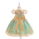 Kids Girls Flower Short Sleeve Sequins Fashion Sweet Tulle Dress