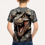 Kid Boys 3D Print Graphic Dinosaur Short Sleeve T shirt Summer Fashion Streetwear