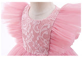 Kid Baby Girl Princess Flying Sleeve Mesh Lace Stitching Bow Dresses