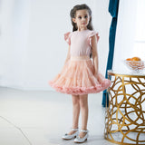 Kid Baby Girl Princess Convex Super Fluffy Mesh Skirts