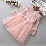 Kid Baby Girl Lace Fluffy Gauze Long Sleeve Flower Casual Dresses