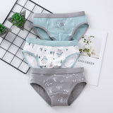 Kid Baby Boy Underwear Cotton Briefs Print 3 Packs