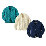 Kid Boy Open Door Wool Ins Wind Twist Cardigan Sweater