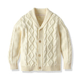 Kid Boy Open Door Wool Ins Wind Twist Cardigan Sweater