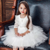 Kid Baby Girl Princess Lace Cake Pompous Birthday Dresses