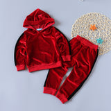 Kid Baby Girls Hooded Small Ears Long Sleeve Suit 2 Pcs Sets