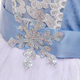 Kid Baby Girl Frozen Headlined Princess Gown Lace Dresses