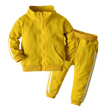 Boy Autumn Long-sleeved Casual Sportswear 2 Pcs Set