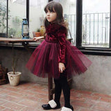 Kid Baby Girls Velvet Party Autumn Ruffle Tulle Casual Dresses