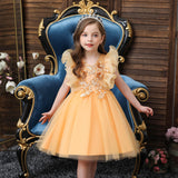 Kid Baby Girl Princess Pomfret Wedding Dress
