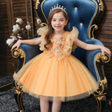 Kid Baby Girl Princess Pomfret Wedding Dress