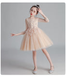 Autumn Spring Kids Girl Princess Formal Pengant Dresses