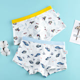 Kid Boys Underwear Cotton Cartoon Briefs Soft Boxers 2 Pieces/Lot