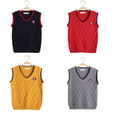 Kid Boy Sweater V-neck Spring Autumn Vest