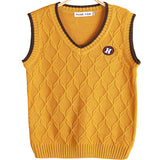 Kid Boy Sweater V-neck Spring Autumn Vest