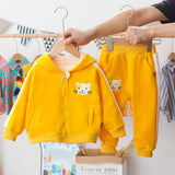 Kid Baby Girl Sportswear Thicken Casual Warm Cotton Sets 2Pcs