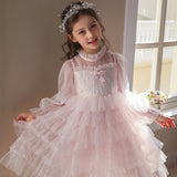 Kid Girl Princess Vestidos Spring Layered Dress
