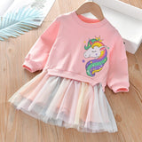 Girl Winter Unicorn Rainbow Tulle Dress 2Pcs 1-6 Years