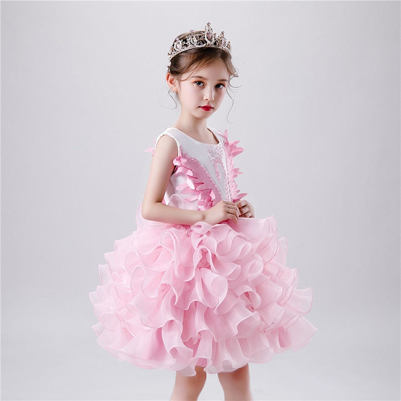 Girls Princess Tutu Dress Lace Applique Elegant Party Dress 1-10 Years - honeylives
