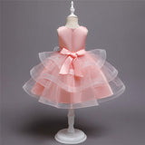 Girl Embroidery Flower Princess Dress Lace Tutu Kids Dresses - honeylives