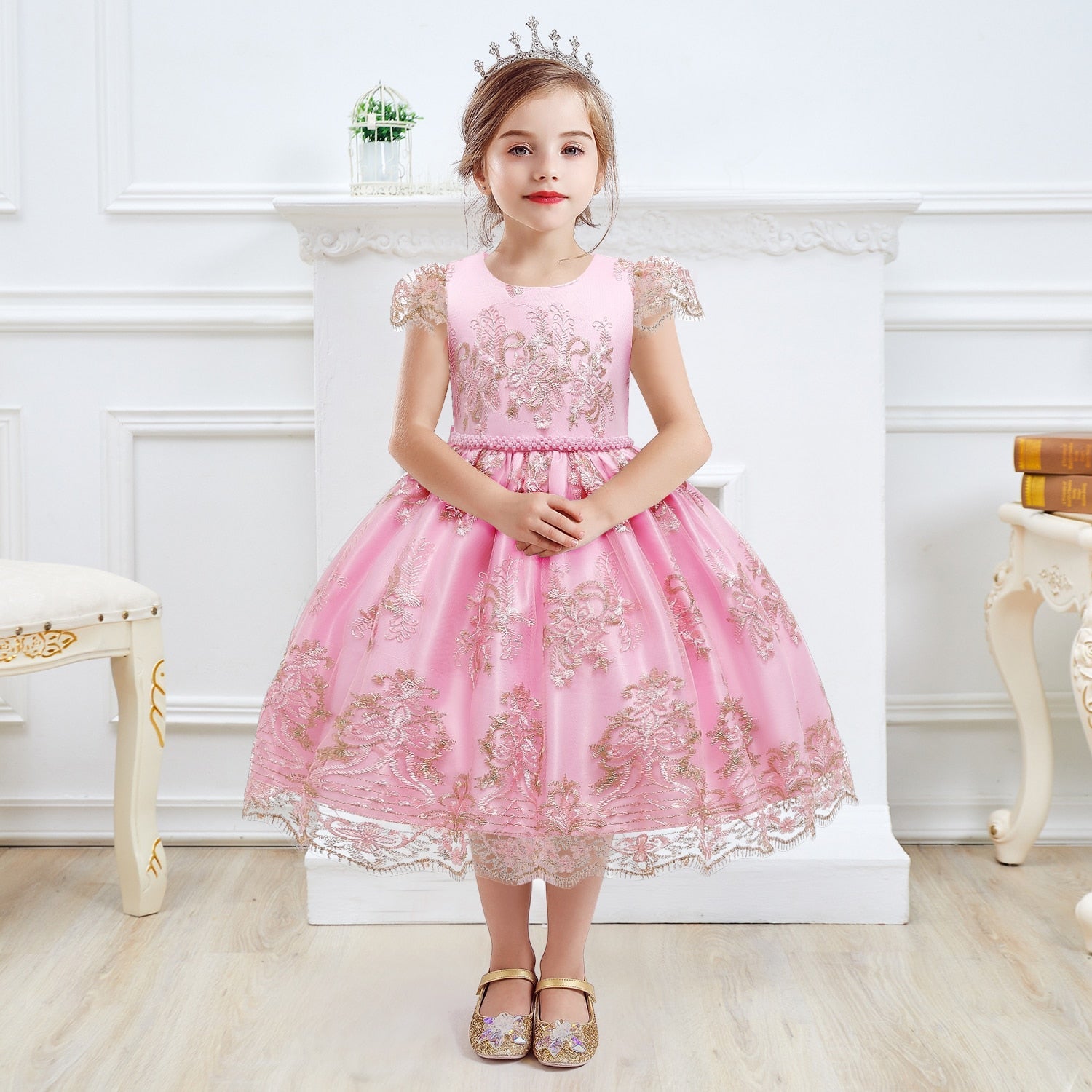 Girls Dress Princess Embroidery Chirstmas Evening Birthday Party Dress - honeylives