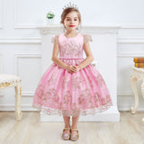 Kid Baby Girls Princess Embroidery Chirstmas Birthday Party Dress