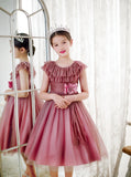 Kid Girl Lace Collar Princess Flower Wedding Formal Elegant Dresses