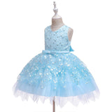 Summer Baby Girl Dress Lace Embroidery Baptism Dresses 0-10 Year - honeylives
