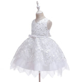 Summer Baby Girl Dress Lace Embroidery Baptism Dresses 0-10 Year - honeylives