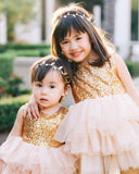 Baby Girls Princess Birthday Summer Bow Tutu Cake Dresses 2-6T - honeylives