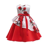 Flower Girls Pageant Formal Party Dresses