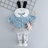 Baby Girls Clothing Sets Cartoon Rabbit Tops+Bottoms 2 Pcs