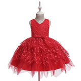 Summer Baby Girl Dress Lace Embroidery Baptism Dresses 0-10 Year - honeylives