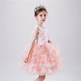 Girls Princess Tutu Dress Lace Applique Elegant Party Dress 1-10 Years - honeylives