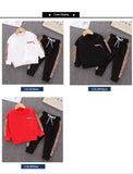 Boy Clothing Leisure Suit Autumn Outfit 2 Pcs 1-5 Years