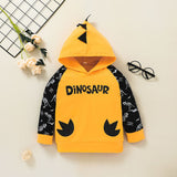 Boys Hooded Long Sleeve Dinosaur Letter Suits 2 Pcs Sets