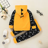 Boys Hooded Long Sleeve Dinosaur Letter Suits 2 Pcs Sets